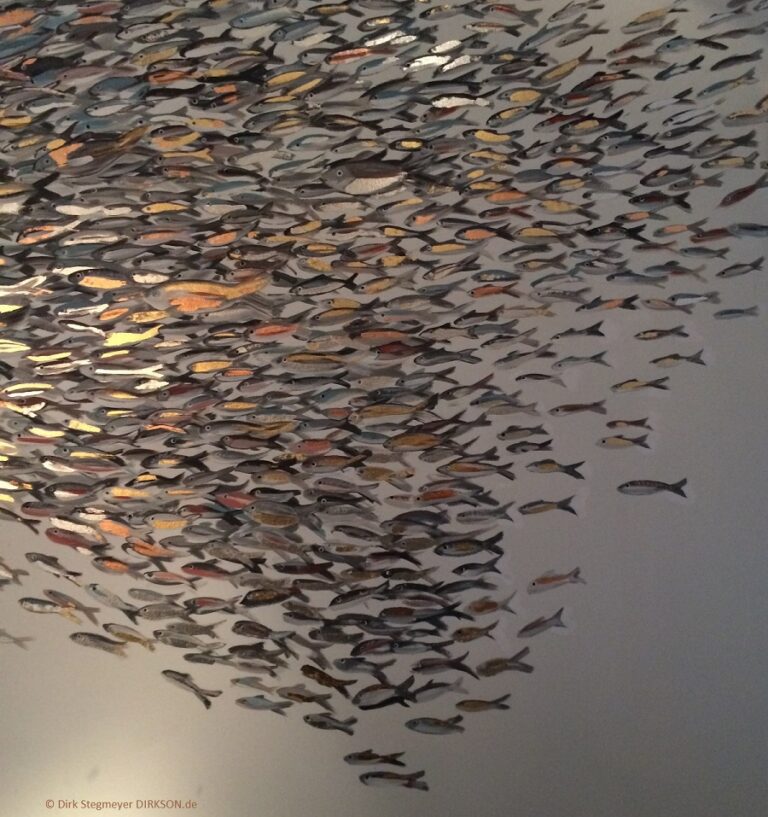 Dirk Stegmeyer DIRKSON.de Fisches