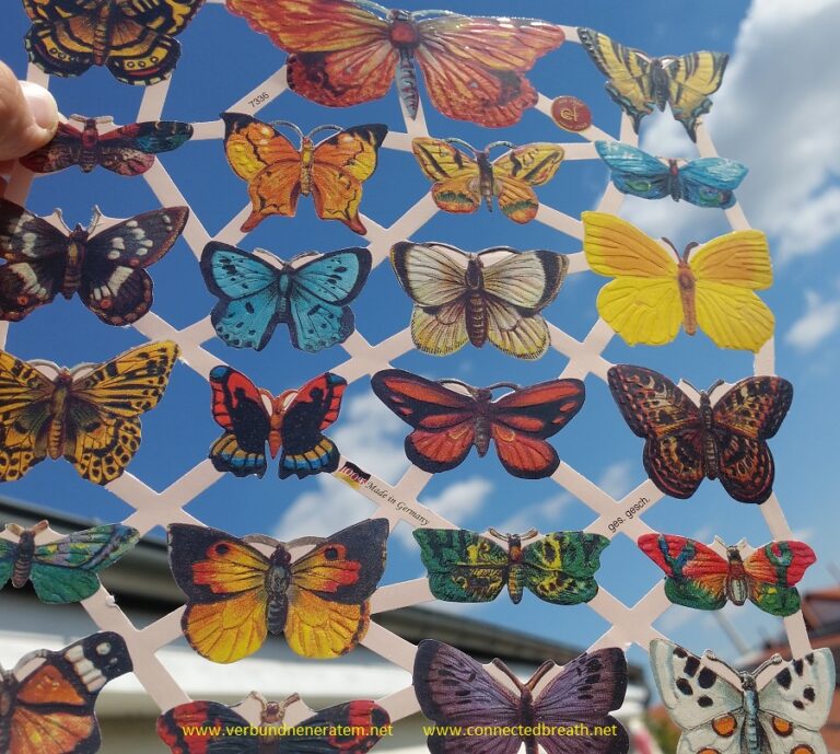 LetsBUTTERFLY Sommer 2018