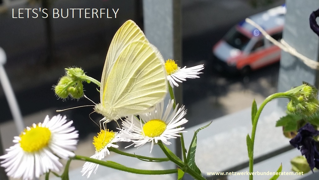 2019 Atem und Energie Woche Dahlke