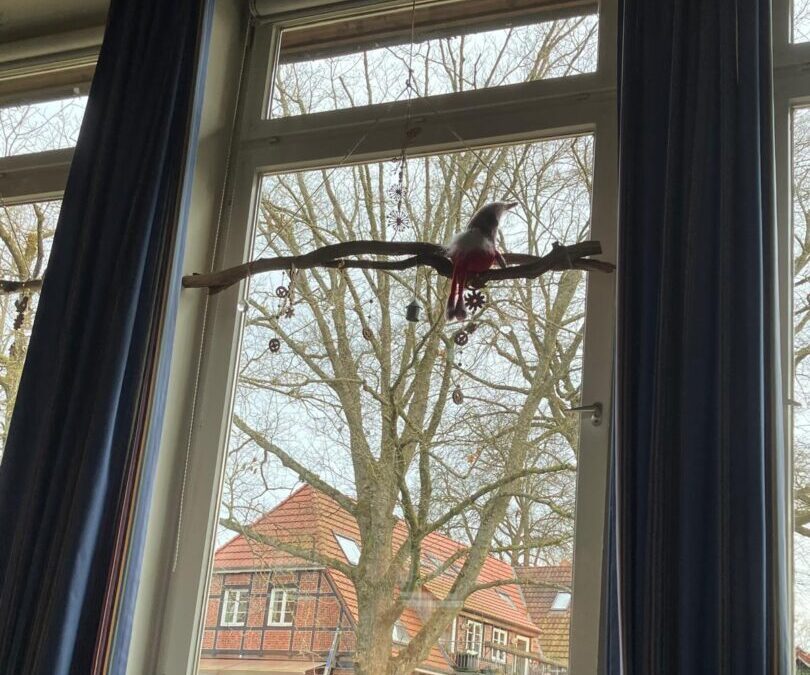 Brigitte Palaschinski