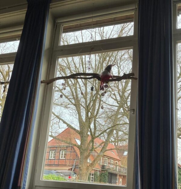 Brigitte Palaschinski