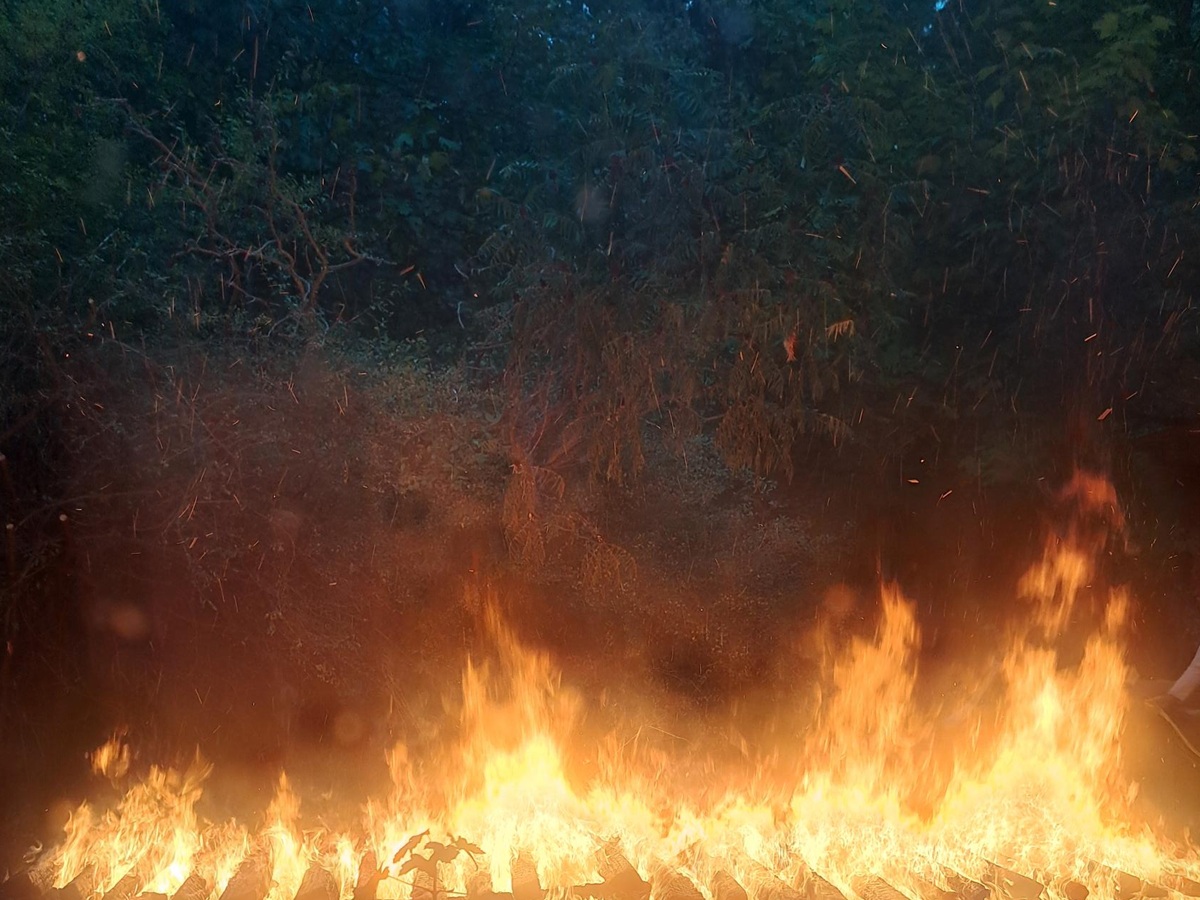 Feuerlauf_Feuer_2026_b