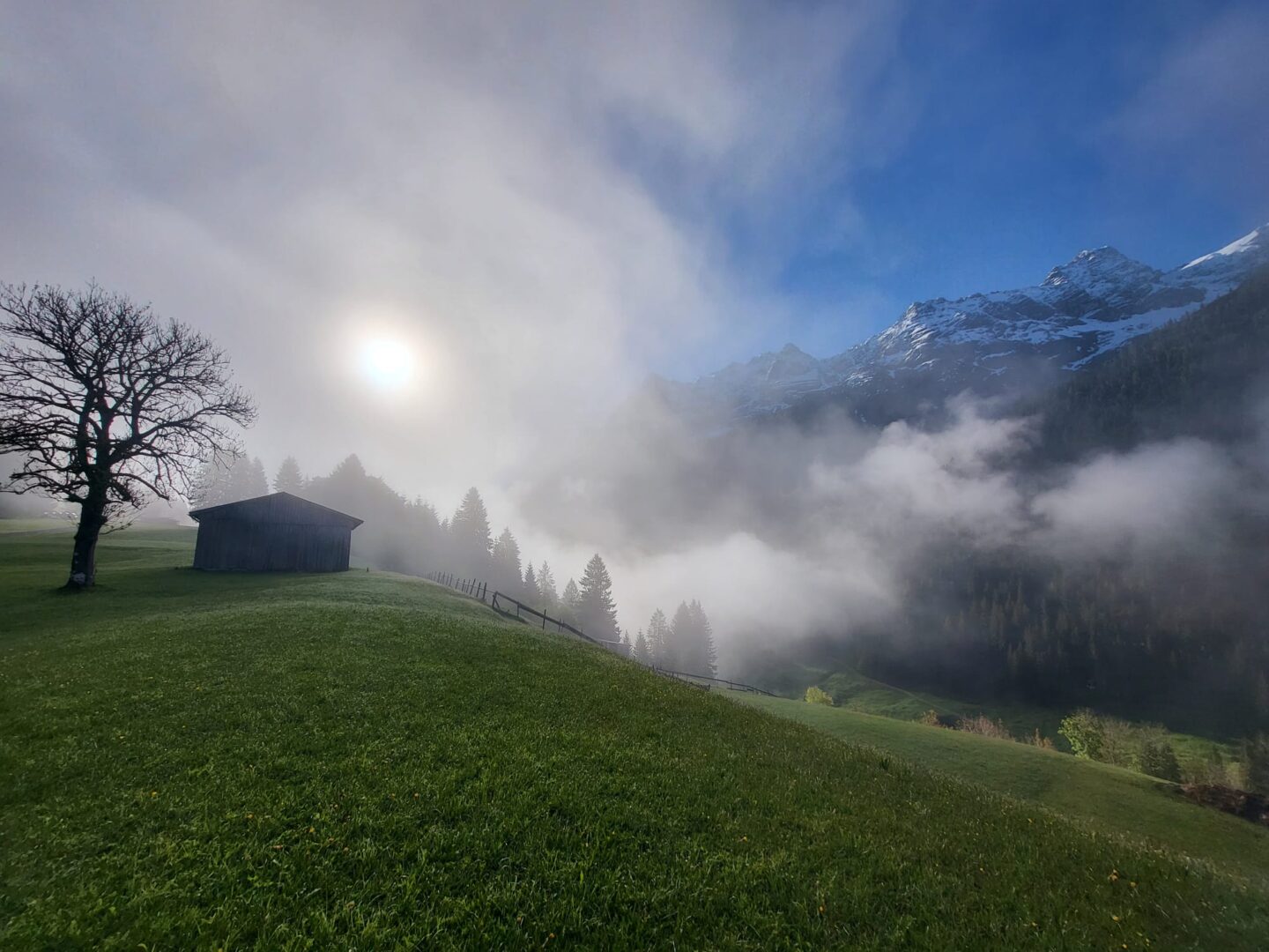 Atemwoche – „Verbundener Atem & Natur“