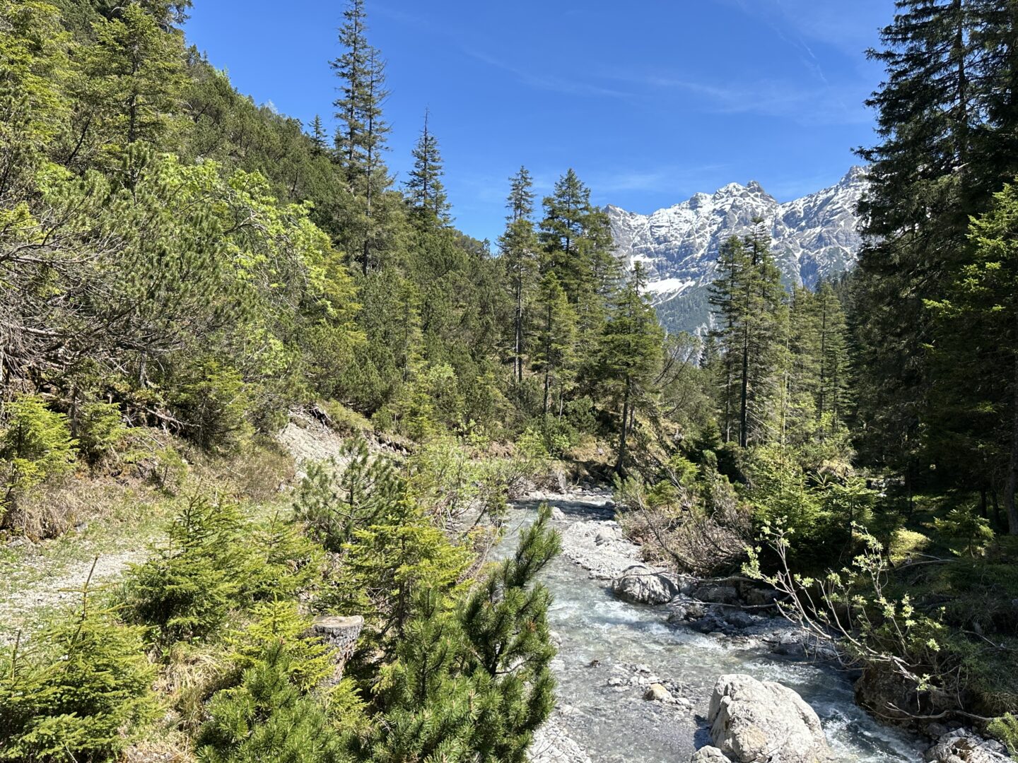 Atemwoche – „Verbundener Atem & Natur“